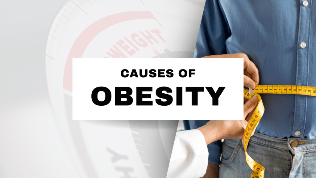 What are the Causes of Obesity